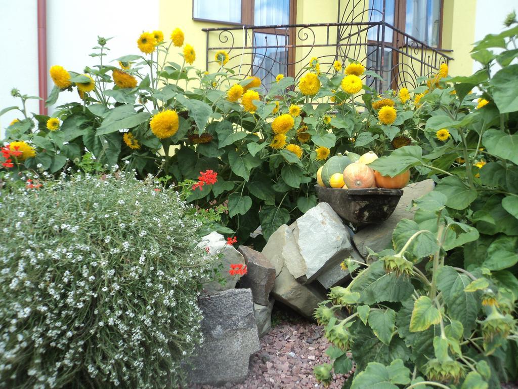 Hotel Restaurant Vizit Truskavets Luaran gambar